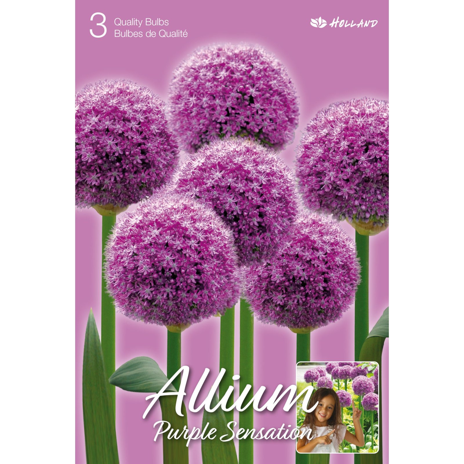 Fall Flower Bulbs