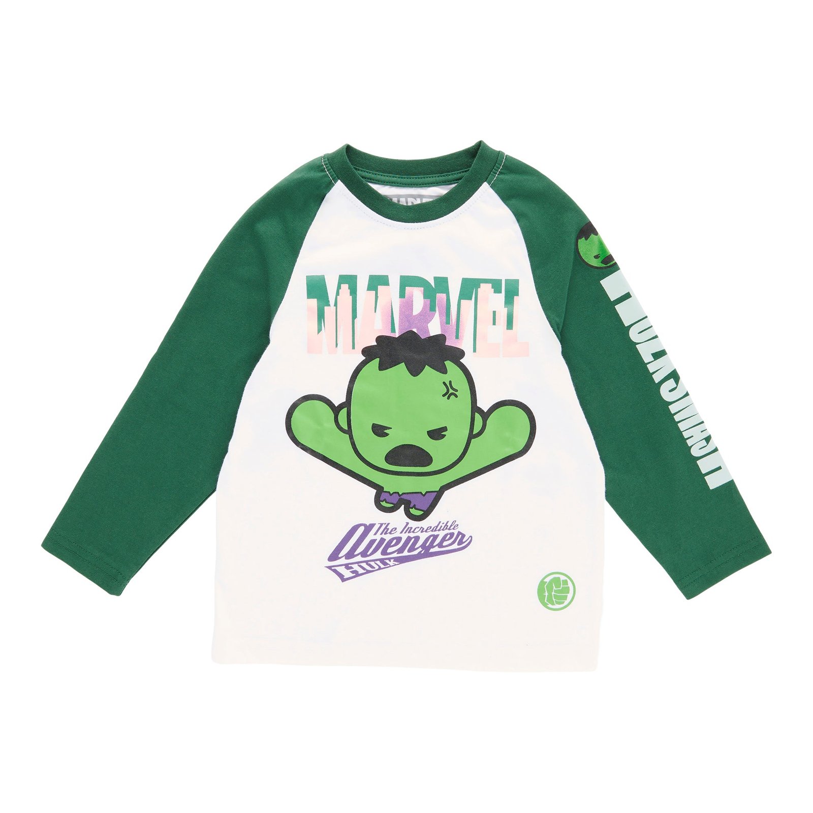 Toddler Boys' Licensed The Hulk Printed Long Sleeve T-Shirt